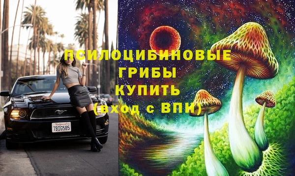 мяу мяу мука Абинск