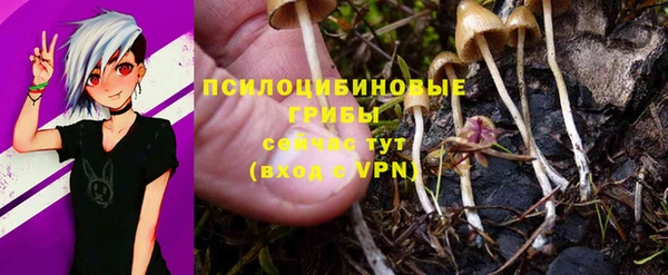 соль курить ск Осташков