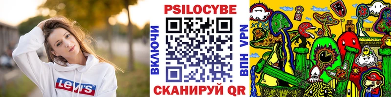 Галлюциногенные грибы Psilocybe  магазин    Янаул 